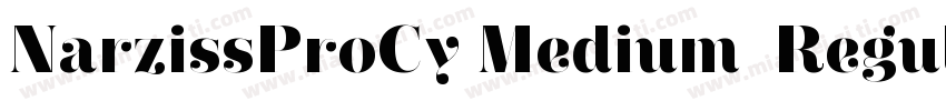 NarzissProCy Medium  Regular字体转换